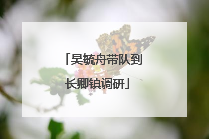 吴毓舟带队到长卿镇调研